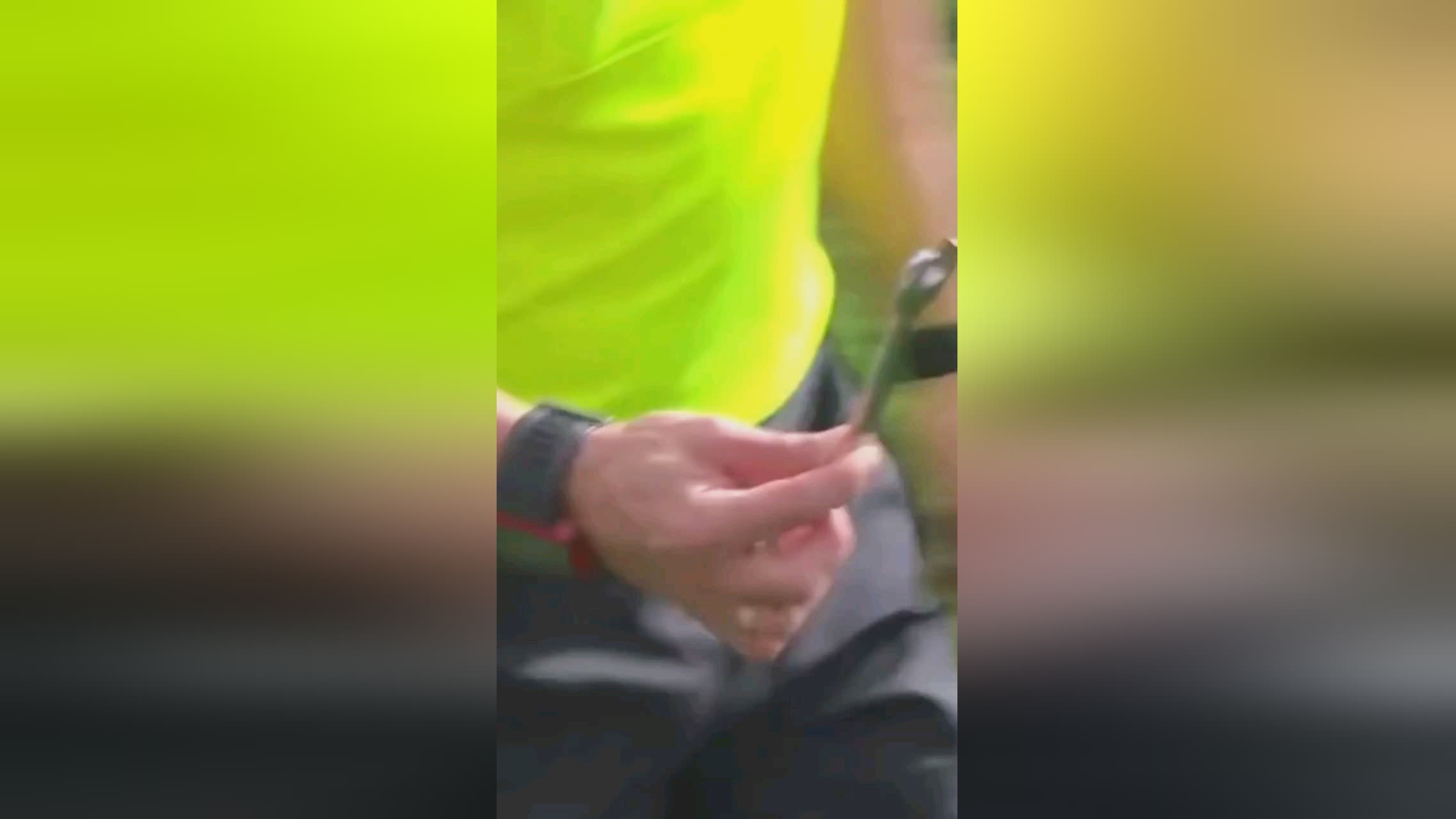 了一个羽毛